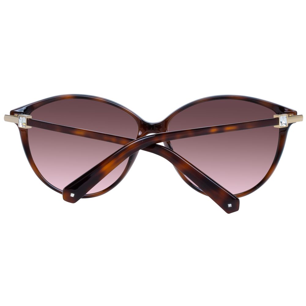 Brown Women Sunglasses